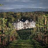 Nicewonder Farm & Vineyard