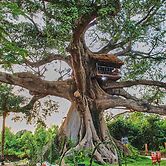 Wassado cultural lodging