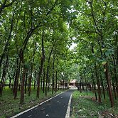 MC RESORT BANDIPUR