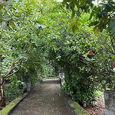 Amrai Valley Resort