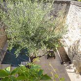 La Petite Baronne - in the Heart of the Gard