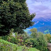 Heidi Chalet Alps - Unique Experience - Authentic Part