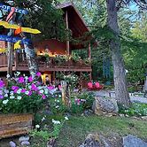 Timber Wolf Resort & Jeep Rentals