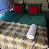 Wild Paradise Camp