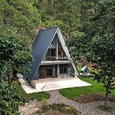 Tiny Pines Glamping