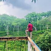 Amberwood Tea & Lake Resort