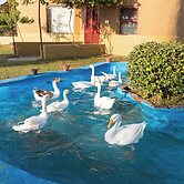 Arise Rustic Village Resort