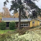 Cozy Forest Hideaway With Hot Tub