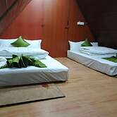 Hill forrest by sky inn