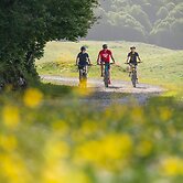 36 Slow Living Rooms