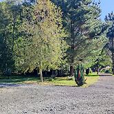 Entre Hualles y Pellines