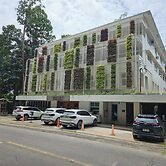 Vine and Canopy
