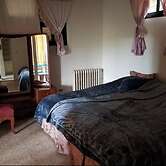 Oasis in the middle of nowhere NAAS