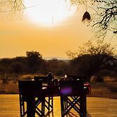 Shibam Campsite