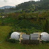 Doi Inthanon Tea Farmstay