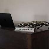 Elan Jawai Resort & Wildlife