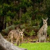 Kalaru Holiday Village