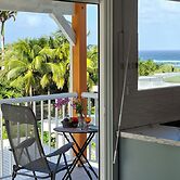 Les cocotiers Anse Montal