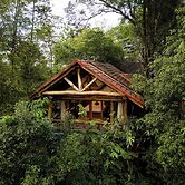 AVANA By White House International