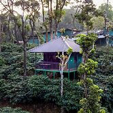 Hill Valley Farm House