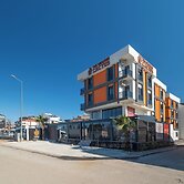 The Orange Cactus