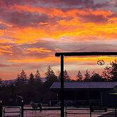 Willamette Valley Home on Working Horse Farm!