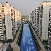 Central Park Flower Valley