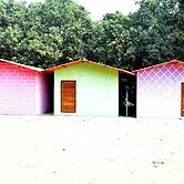 Nivant Agro Experience