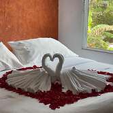 HOTEL QUINTA REAL LAS PALMAS MALINALCO