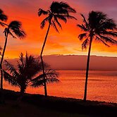 Maalaea Banyans 411