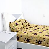 CJ Apartment