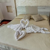 B&B By Family L&G