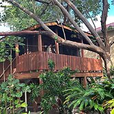 Treetop Beachfront Cabana