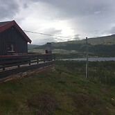 Live in the Realm of the Musk Oxen on Dovrefjell