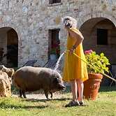 Agriturismo SOLE