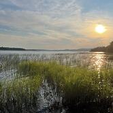 Waterfront 'wildflower Cottage' w/ Private Dock!