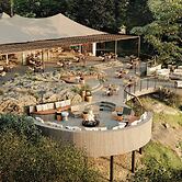 Kinara, A Luxury Collection Safari Camp, Masai Mara