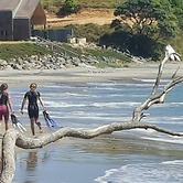 Kiwi Bach at a Secluded Northland East Coast Beach
