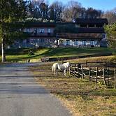 Tenuta Valdomini