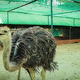 Farm Shaala