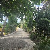 Finca verde