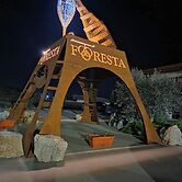 B & B Foresta Vini
