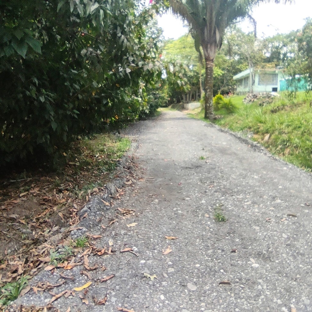 Chalet 1 Airenaturaa