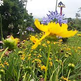 Chácara do Alemão - Recanto Jd.Silvestre