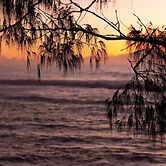 Reflections Bonny Hills - Holiday Park
