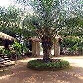 Golden Sunrise Hotel