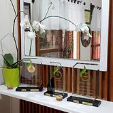 Árbol de Fuego Eco-hotel, a green experience in the city