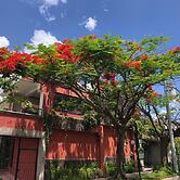 Árbol de Fuego Eco-hotel, a green experience in the city
