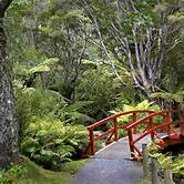 Rapaura Watergardens