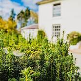 Penygelli Country House Apartments